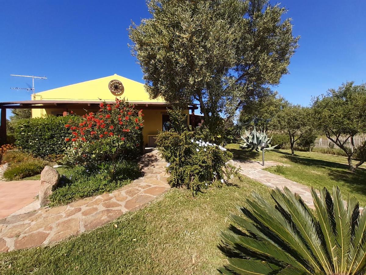 Agriturismo Campesi Casale Tra Le Vigne Aglientu Exterior foto