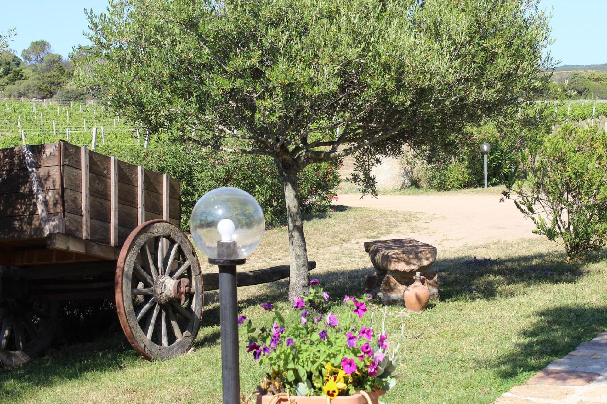 Agriturismo Campesi Casale Tra Le Vigne Aglientu Exterior foto