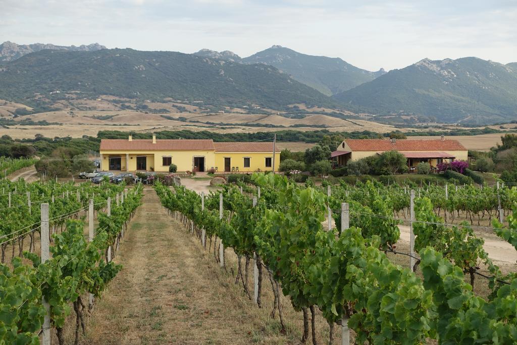 Agriturismo Campesi Casale Tra Le Vigne Aglientu Exterior foto