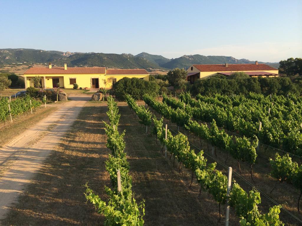 Agriturismo Campesi Casale Tra Le Vigne Aglientu Exterior foto