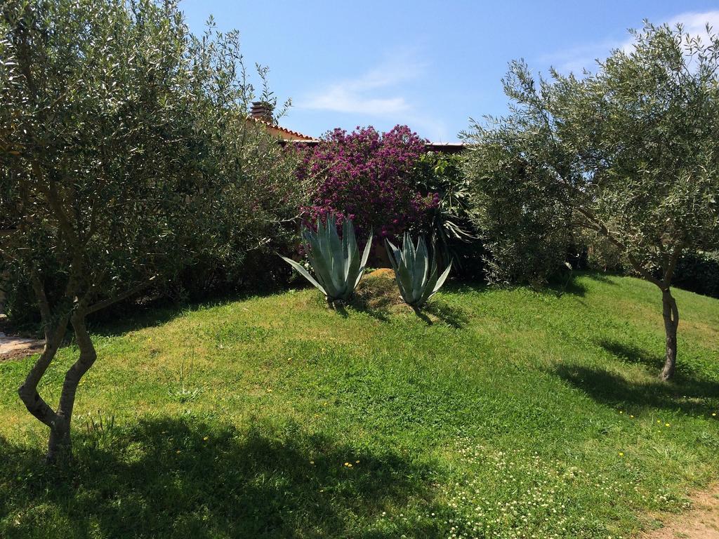 Agriturismo Campesi Casale Tra Le Vigne Aglientu Exterior foto