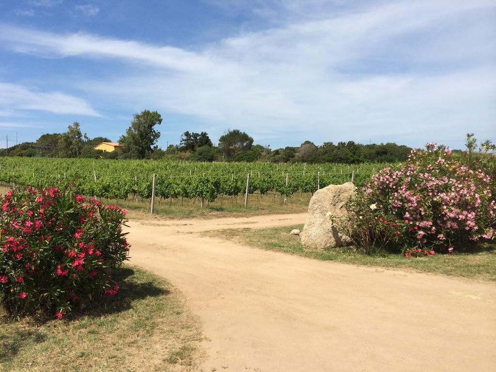 Agriturismo Campesi Casale Tra Le Vigne Aglientu Exterior foto
