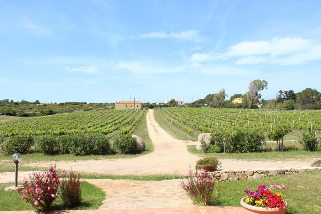 Agriturismo Campesi Casale Tra Le Vigne Aglientu Exterior foto
