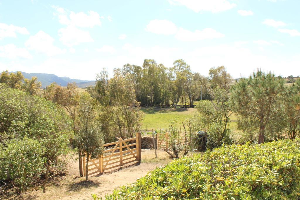 Agriturismo Campesi Casale Tra Le Vigne Aglientu Exterior foto